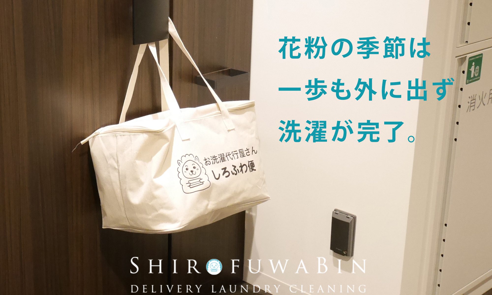 花粉が気になる季節は、プロに洗濯をおまかせ。外干しに頼らない新しい洗濯習慣を提案